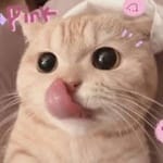 Fernando Torres avatar